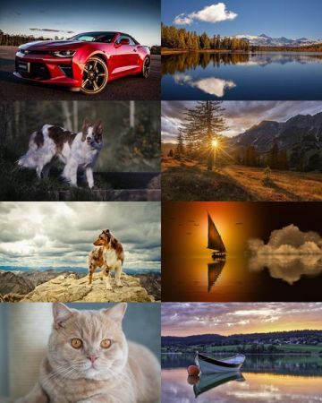 Desktop Wallpapers Mixed Pack # 712
