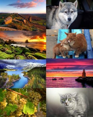 Desktop Wallpapers Mixed Pack # 707
