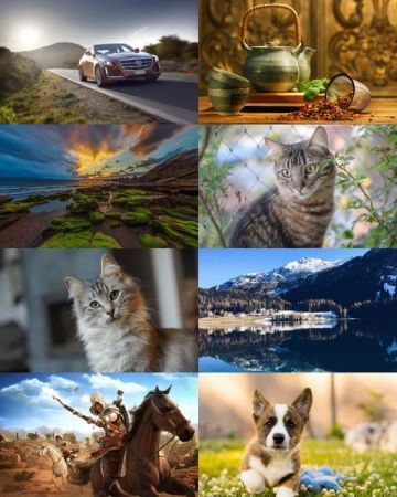 Desktop Wallpapers Mixed Pack # 704