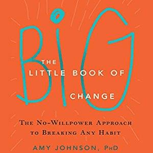 The Little Book of Big Change: The No-Willpower Approach to Breaking Any Habit (Audiobook)