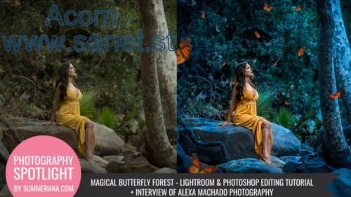 Summerana - Butterfly Forest - Magical Lightroom &amp; Photoshop Edit