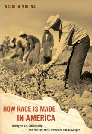 How Race is Made in America: Immigration, Citizenship, and the Historical Power of Racial Scripts
