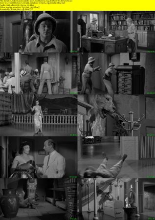 Abbott and Costello Meet the Mummy 1955 BRRip XviD MP3-XVID