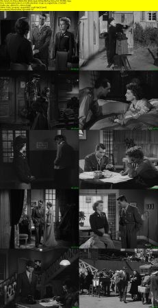 I Was a Male War Bride 1949 1080p BluRay H264 AAC-RARBG