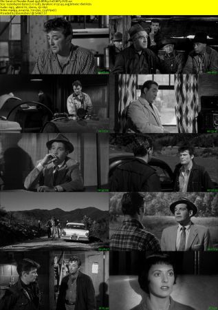 Thunder Road 1958 BRRip XviD MP3-XVID