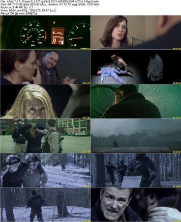 Movie Collection 2018-RypS