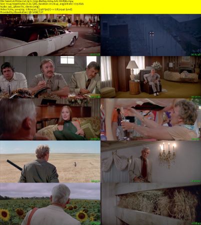 Prime Cut 1972 720p BluRay H264 AAC-RARBG