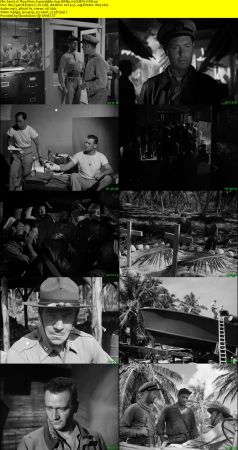 They Were Expendable 1945 BRRip XviD MP3-XVID