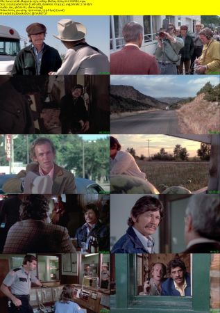 Mr. Majestyk 1974 1080p BluRay H264 AAC-RARBG