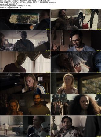 Movie Collection 2018-RypS