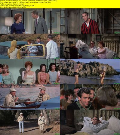 Mr. Hobbs Takes a Vacation 1962 1080p BluRay H264 AAC-RARBG