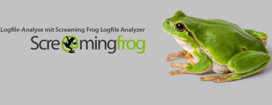 Screaming Frog Log File Analyser 4.5