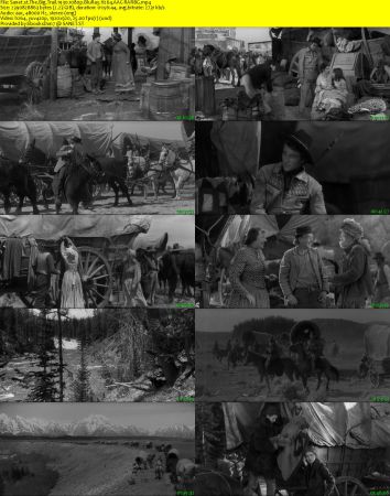 The Big Trail 1930 1080p BluRay H264 AAC-RARBG