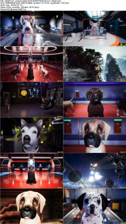Movie Collection 2018-RypS