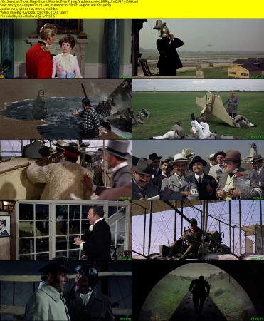 Those Magnificent Men In Their Flying Machines 1965 BRRip XviD MP3-XVID