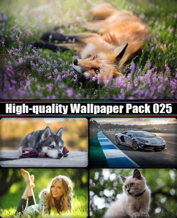 High-quality Wallpaper Pack 025
