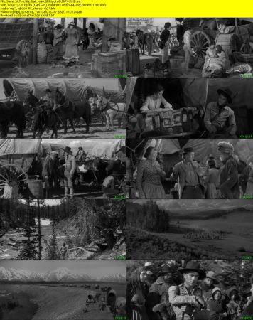 The Big Trail 1930 BRRip XviD MP3-XVID