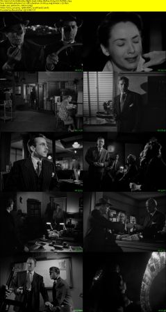 He Walked by Night 1948 1080p BluRay H264 AAC-RARBG