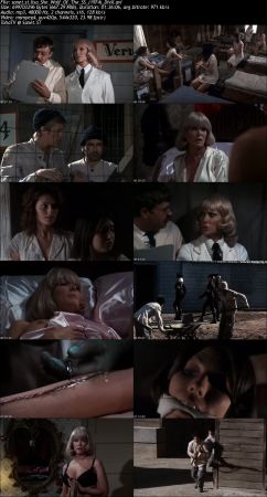 Ilsa She Wolf Of The SS (1974) DVDRip DivX