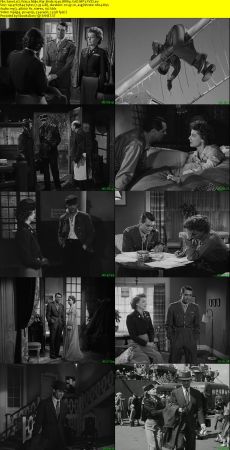 I Was a Male War Bride 1949 BRRip XviD MP3-XVID