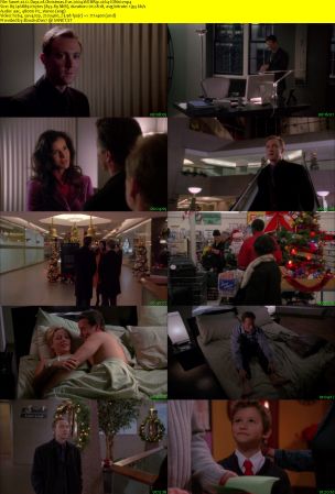 12 Days of Christmas Eve 2004 WEBRip x264-ION10