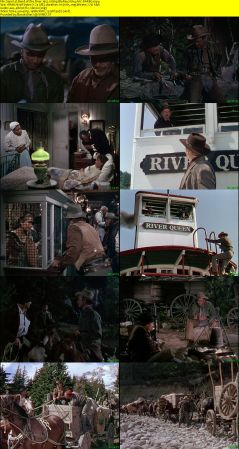 Bend of the River 1952 1080p BluRay H264 AAC-RARBG