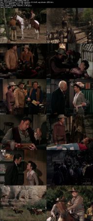 Sierra 1950 DVDRip XViD