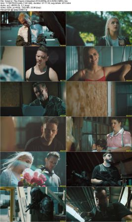 The Dragon Unleashed 2019 BRRip AC3 X264-CMRG