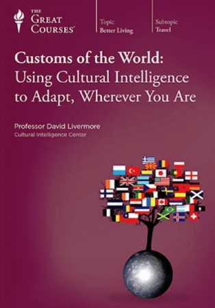 Customs of the World: Using Cultural Intelligence to Adapt, Wherever You Are