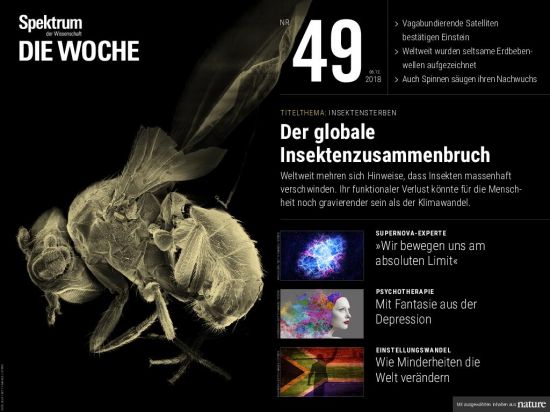 Spektrum Die Woche "“ 07. Dezember 2018