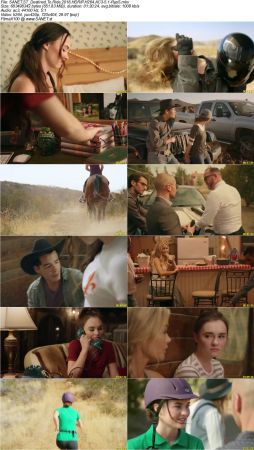 Movie Collection 2018-RypS
