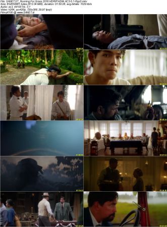 Movie Collection 2018-RypS
