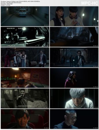 Endless Loop 2018 4K WEB-DL AAC H264-CHDWEB