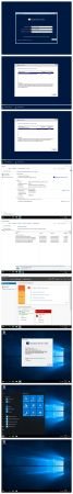 Windows Server 2016 Standard Build 14393.2608 en-US November 2018