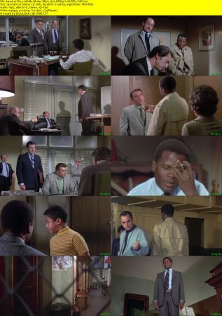 They Call Me Mister Tibbs 1970 BRRip XviD MP3-XVID