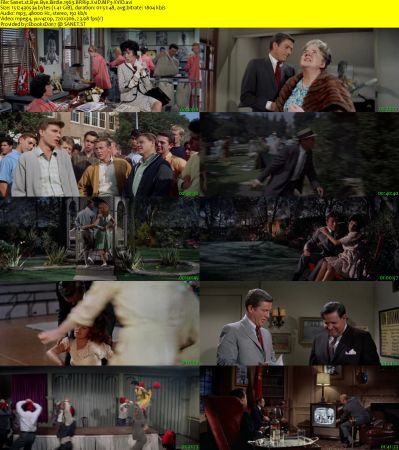 Bye Bye Birdie 1963 BRRip XviD MP3-XVID