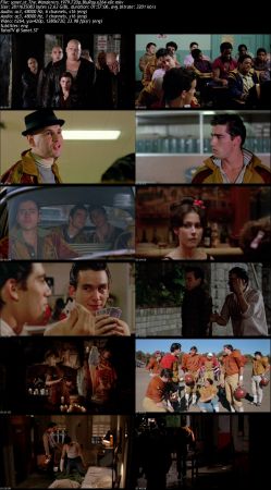 The Wanderers 1979 720p BluRay x264-x0r