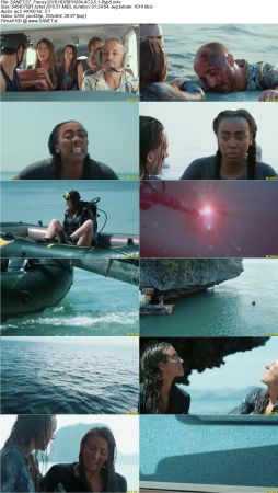 Movie Collection 2018-RypS
