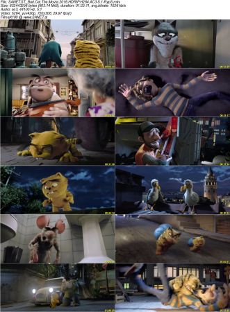 Movie Collection 2018-RypS