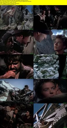 For Whom the Bell Tolls 1943 BRRip XviD MP3-XVID