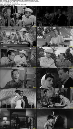 The Girl in Black Stockings 1957 720p BluRay x264-x0r