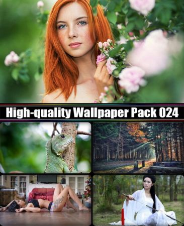 High-quality Wallpaper Pack 024