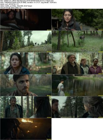 Movie Collection 2018-RypS