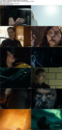 Movie Collection 2018-RypS