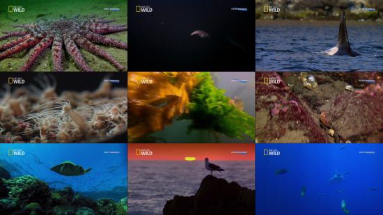 Nat Geo Wild Deep Sea Killers 3Audio 1080i HDTV H264-Powerais