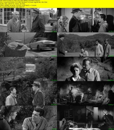 Panic in Year Zero 1962 BRRip XviD MP3-XVID