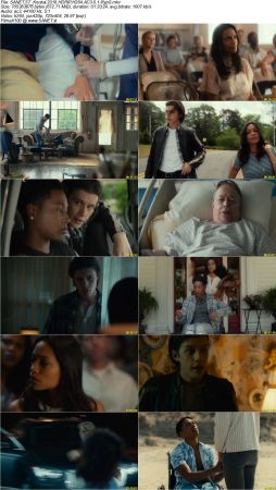 Movie Collection 2018-RypS