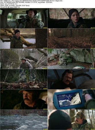 Movie Collection 2018-RypS