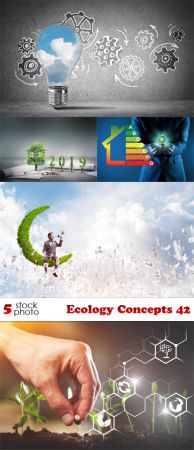 Photos   Ecology Concepts 42