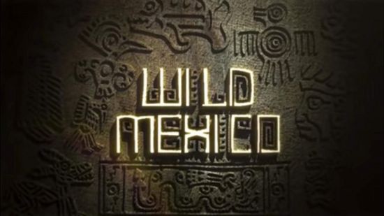 Animal Planet Wild Mexico ChtSUB 1080i HDTV H264-Powerais